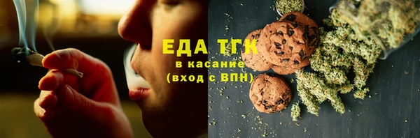 индика Переславль-Залесский