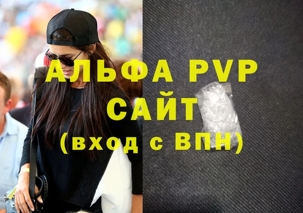 индика Осинники