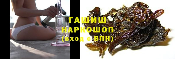 индика Переславль-Залесский