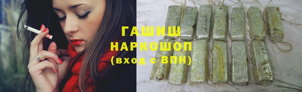 индика Переславль-Залесский
