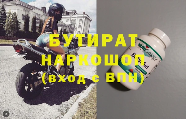 индика Осинники