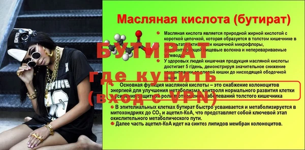 индика Осинники