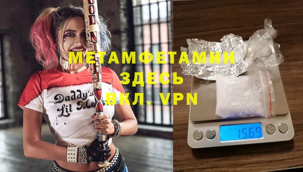 индика Осинники