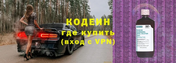 индика Переславль-Залесский