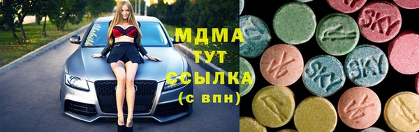 индика Осинники