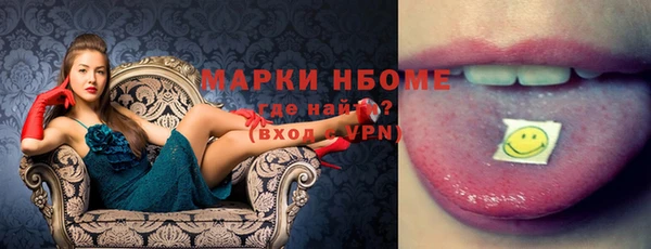индика Переславль-Залесский