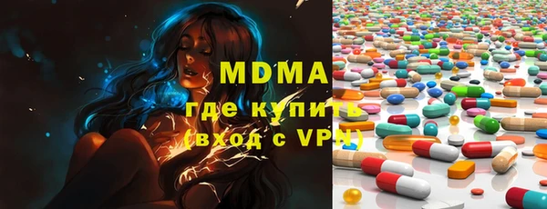 индика Осинники