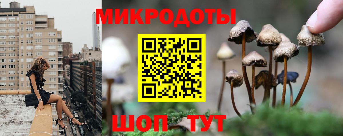 Галлюциногенные грибы мицелий Светлоград
