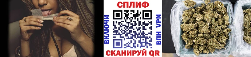 купить   Светлоград  Бошки марихуана гибрид 