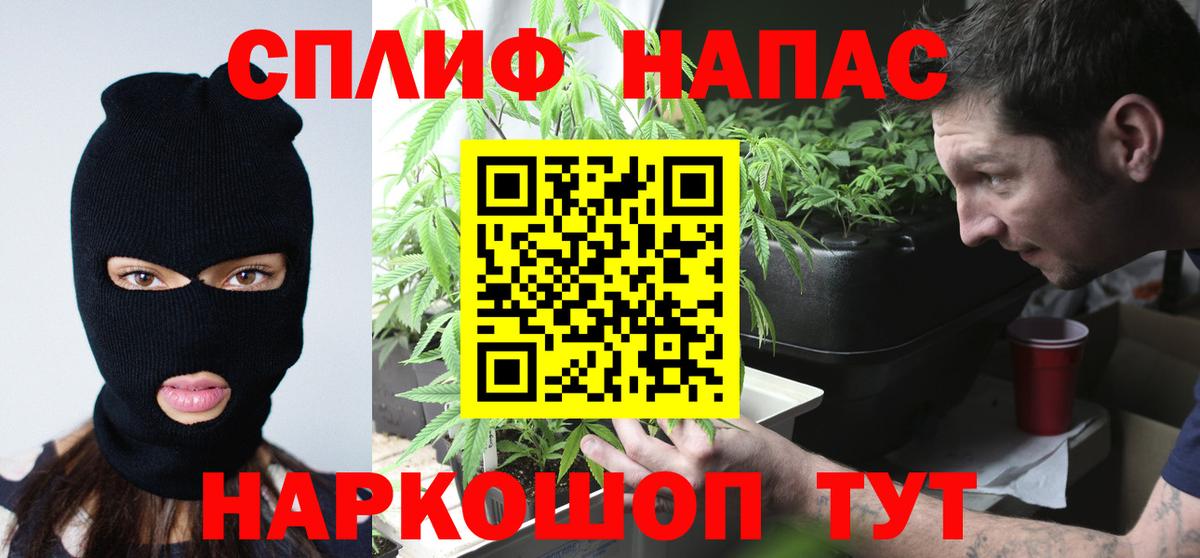 Конопля Ganja  Бошки марихуана ГИДРОПОН  Светлоград  Вход с VPN 