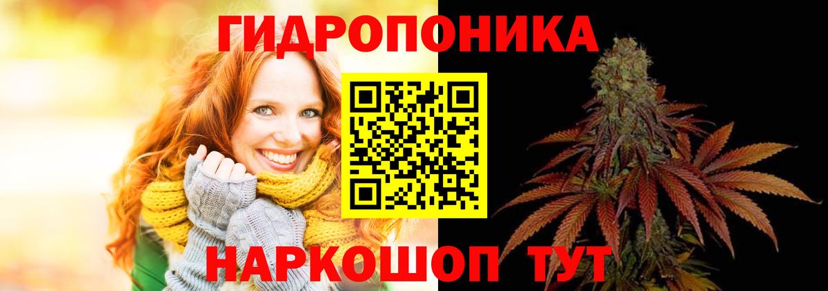 Каннабис White Widow Светлоград